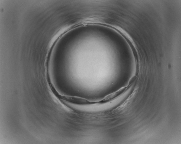 X0000070191341200606021048