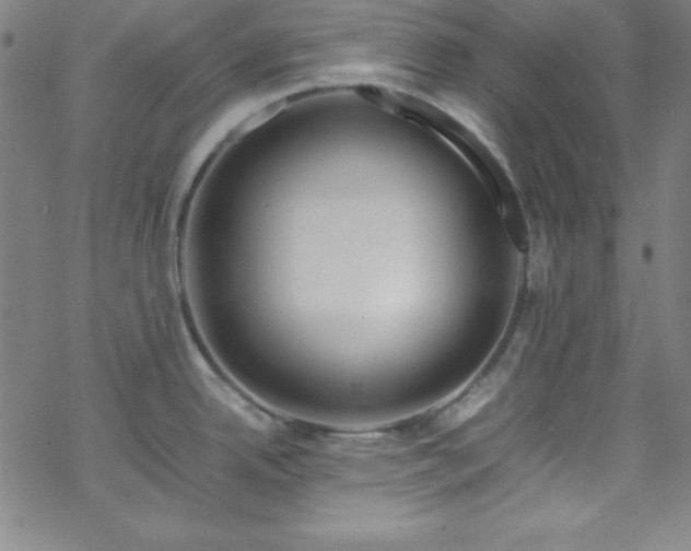 X0000070191342200606021048