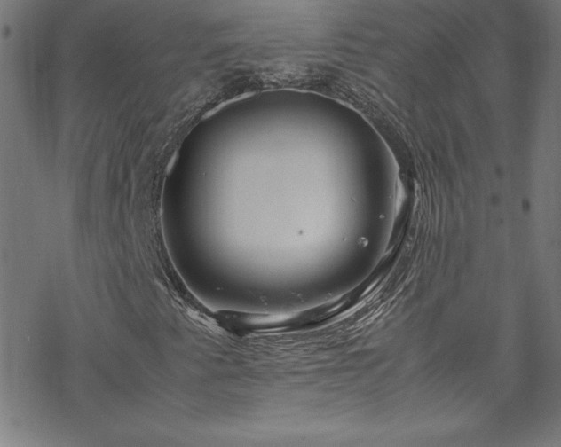 X0000070191345200606021047