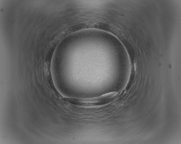 X0000070191347200606021047