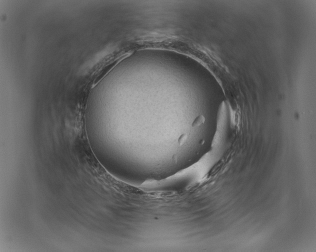 X0000070191350200606021047