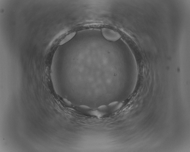 X0000070191351200606021047