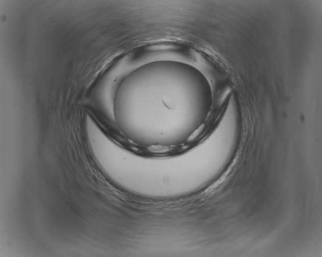 X0000070191353200606021047