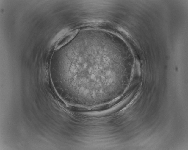 X0000070191354200606021047