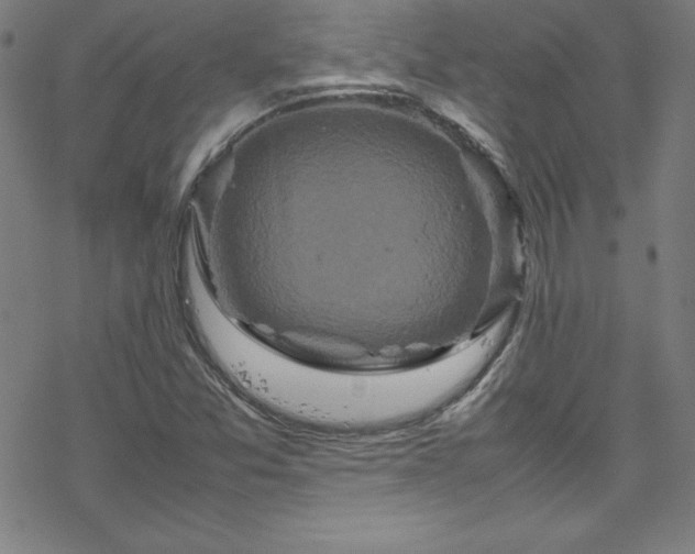 X0000070191357200606021047