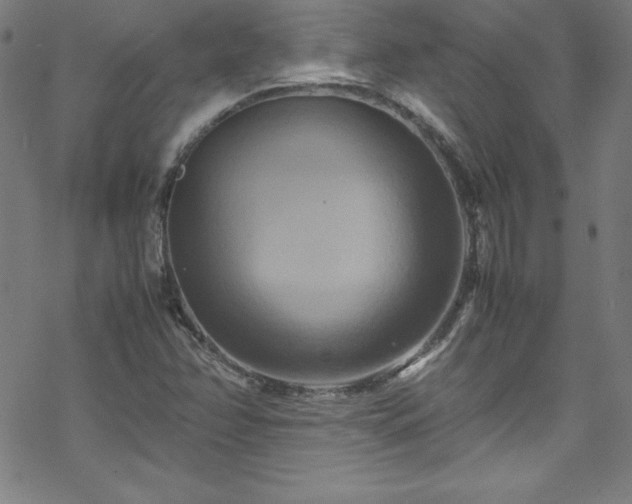 X0000070191358200606021047