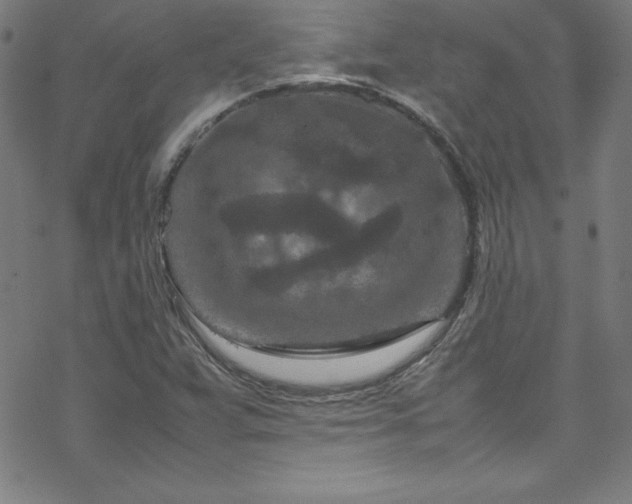 X0000070191359200606021047