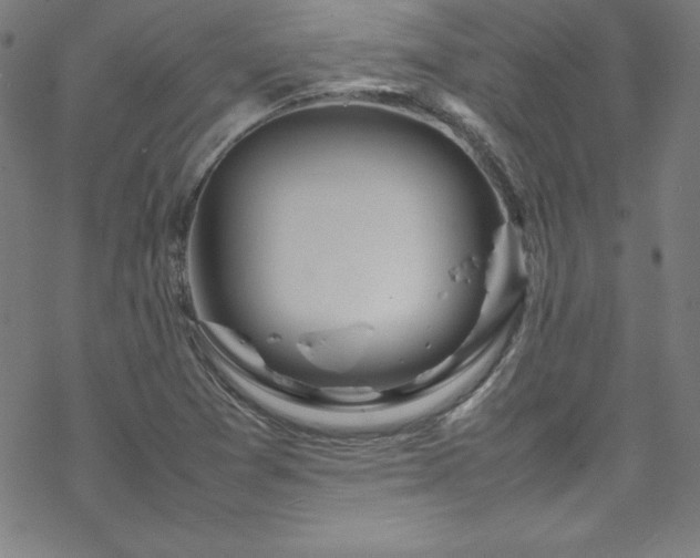 X0000070191361200606021047