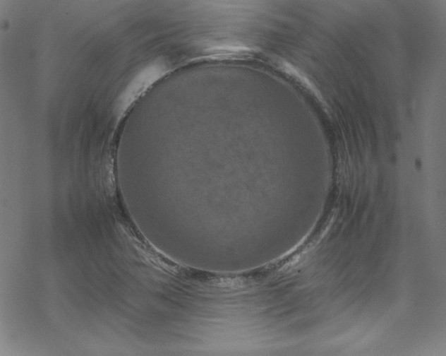 X0000070191362200606021047