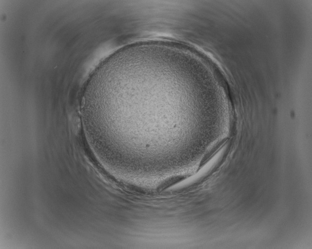 X0000070191363200606021047