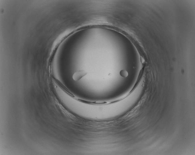 X0000070191366200606021047