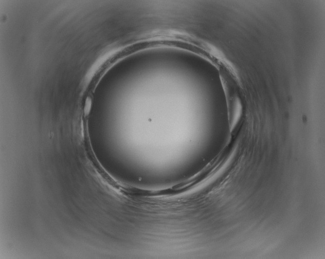 X0000070191368200606021047