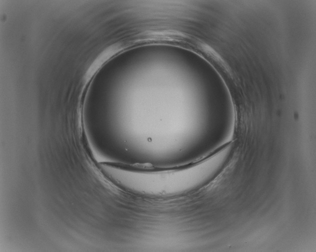 X0000070191370200606021047