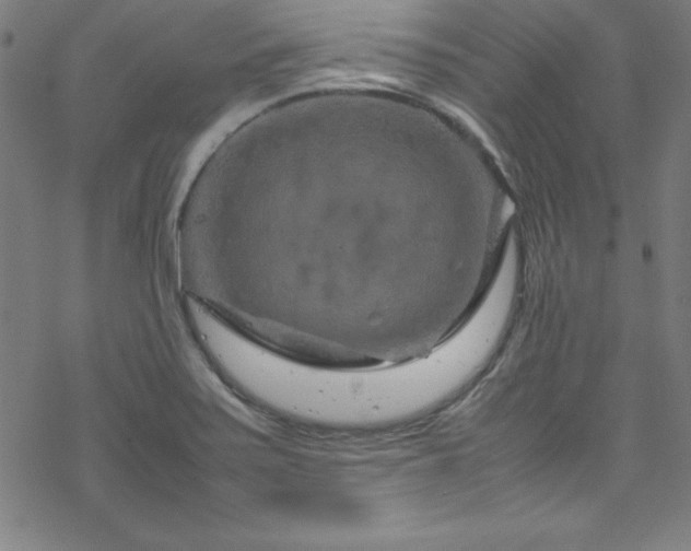 X0000070191371200606021047