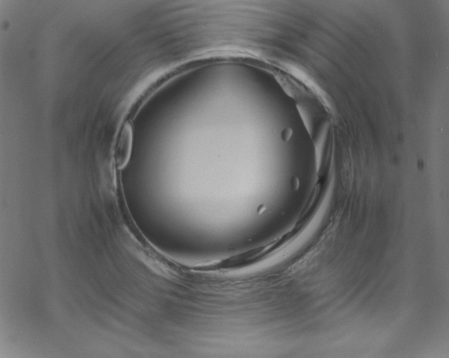 X0000070191372200606021047