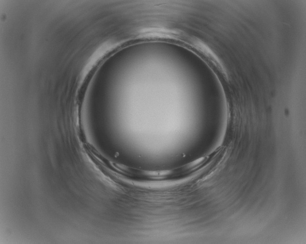 X0000070191376200606021046