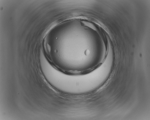 X0000070191377200606021046