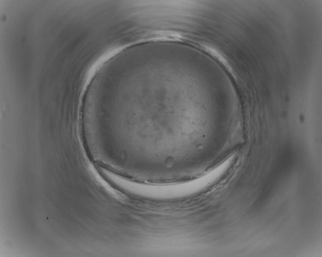 X0000070191379200606021046