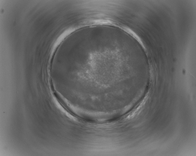 X0000070191381200606021046