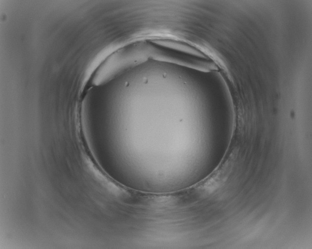 X0000070191382200606021046