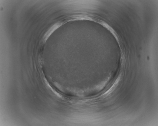 X0000070191385200606021046