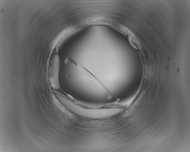 X0000070191386200606021046