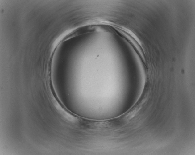 X0000070191387200606021046