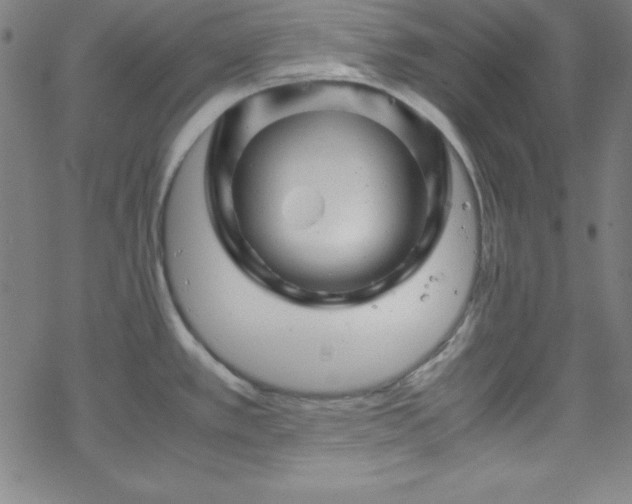 X0000070191389200606021046