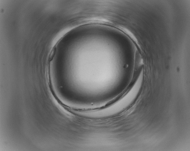 X0000070191391200606021046