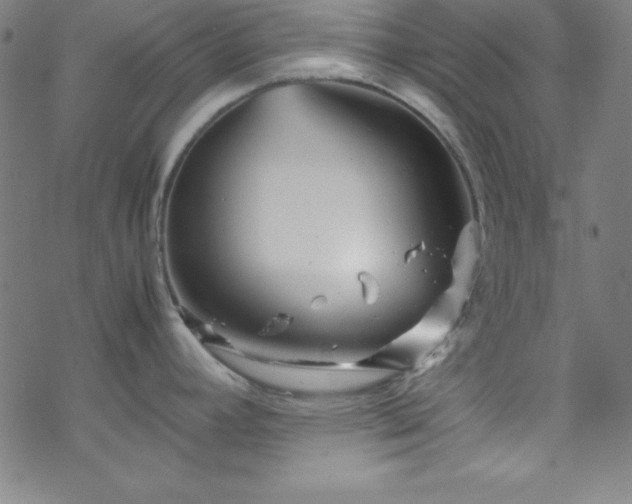 X0000070191392200606021046