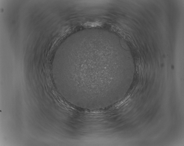 X0000070191393200606021045