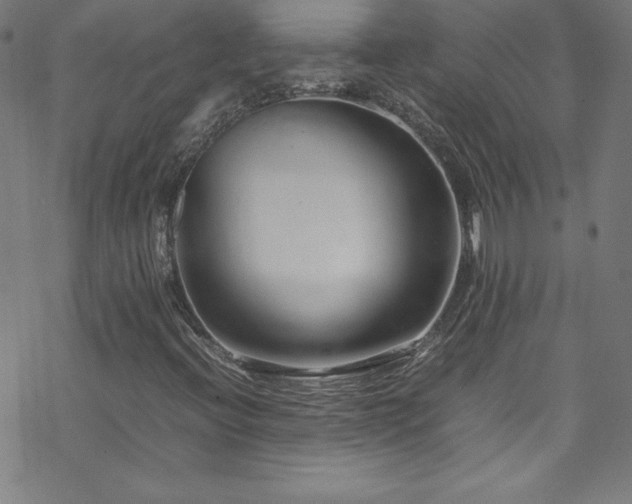 X0000070191396200606021045