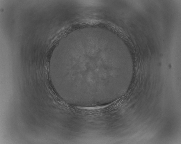 X0000070191397200606021046