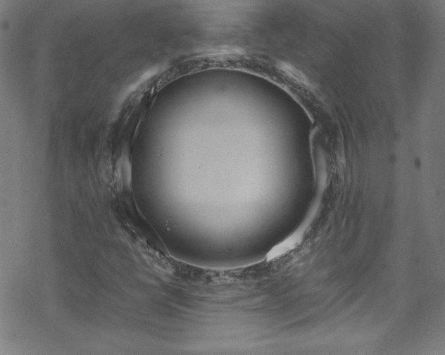 X0000070191398200606021046