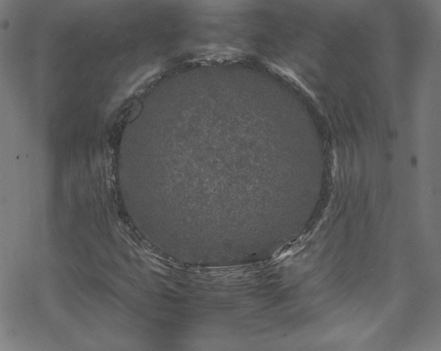 X0000070191399200606021046