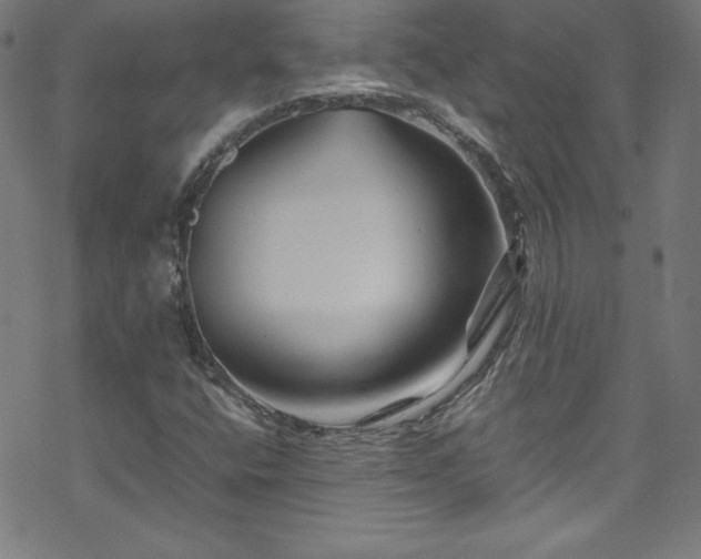 X0000070191400200606021046