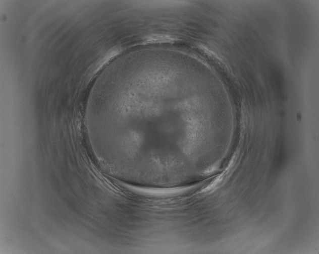 X0000070191401200606021046