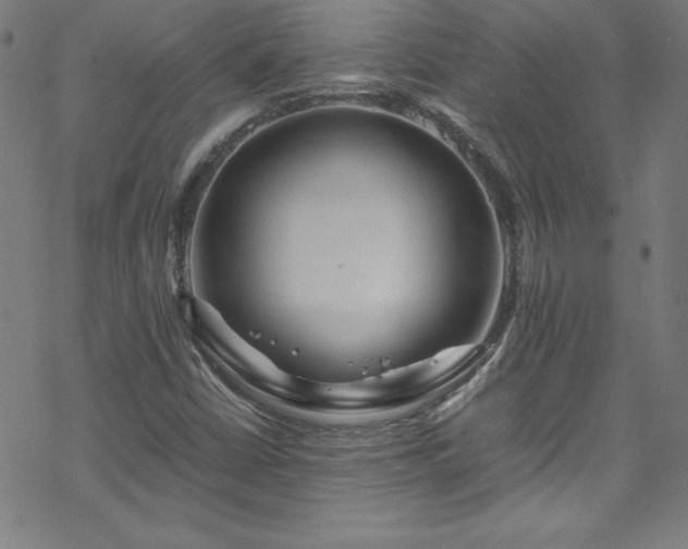 X0000070191402200606021046