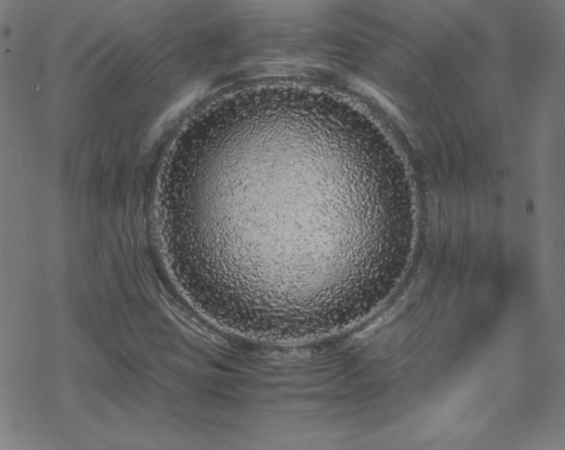 X0000070191403200606021046