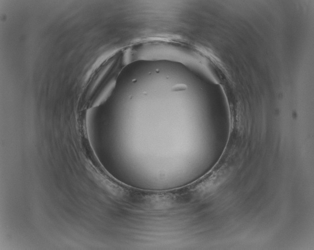 X0000070191404200606021046