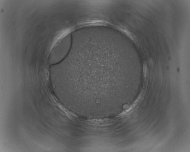 X0000070191405200606021046