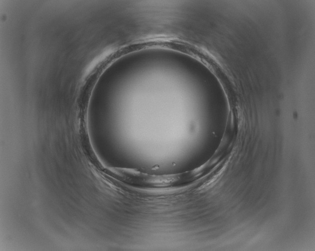 X0000070191406200606021046