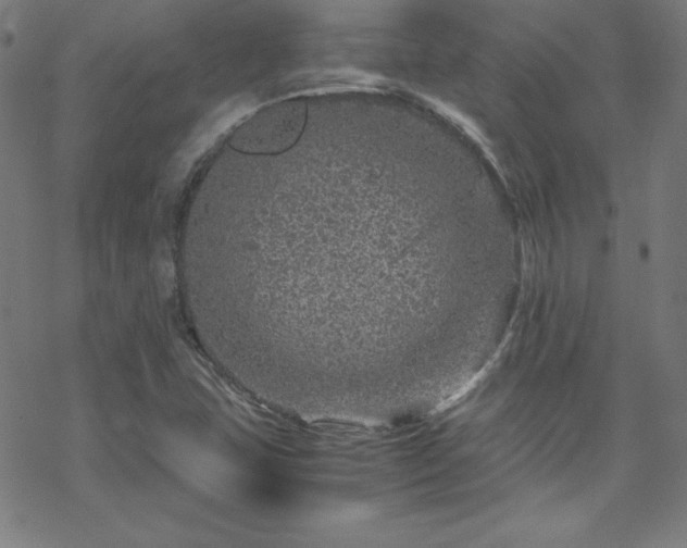 X0000070191407200606021046