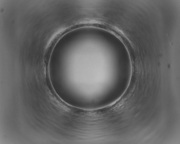 X0000070191408200606021046