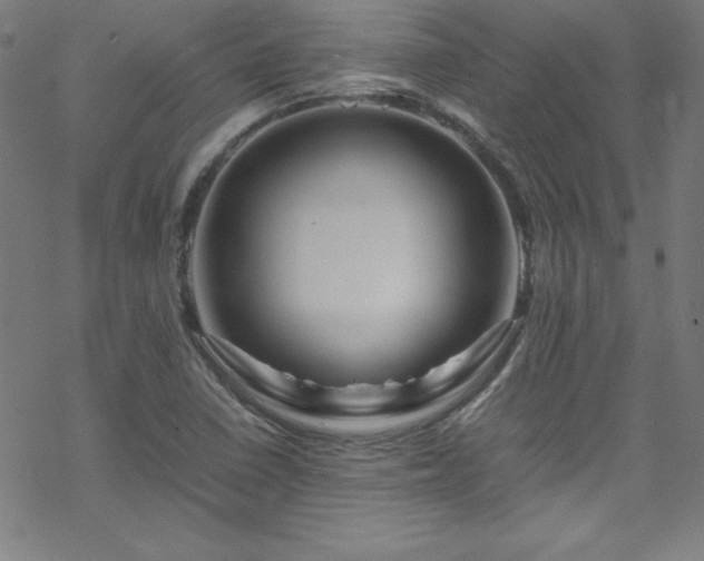 X0000070191410200606021046