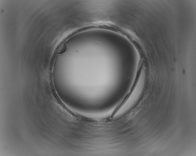 X0000070191412200606021046