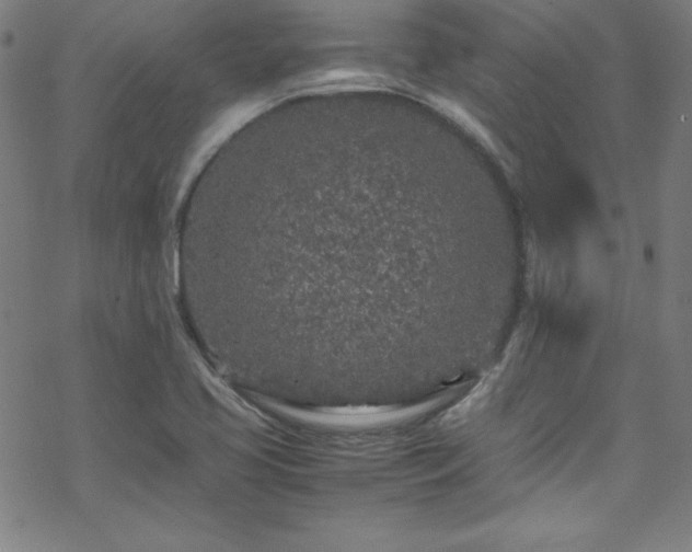 X0000070191413200606021046