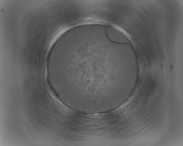 X0000070191415200606021046