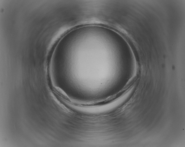 X0000070191416200606021046