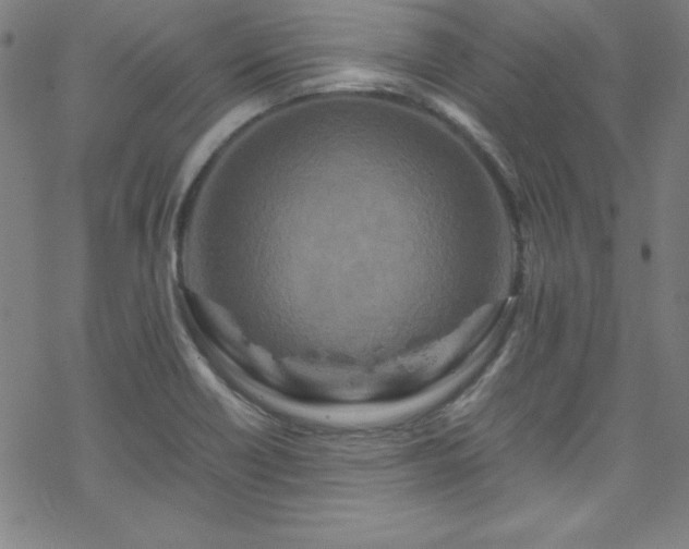 X0000070191418200606021046